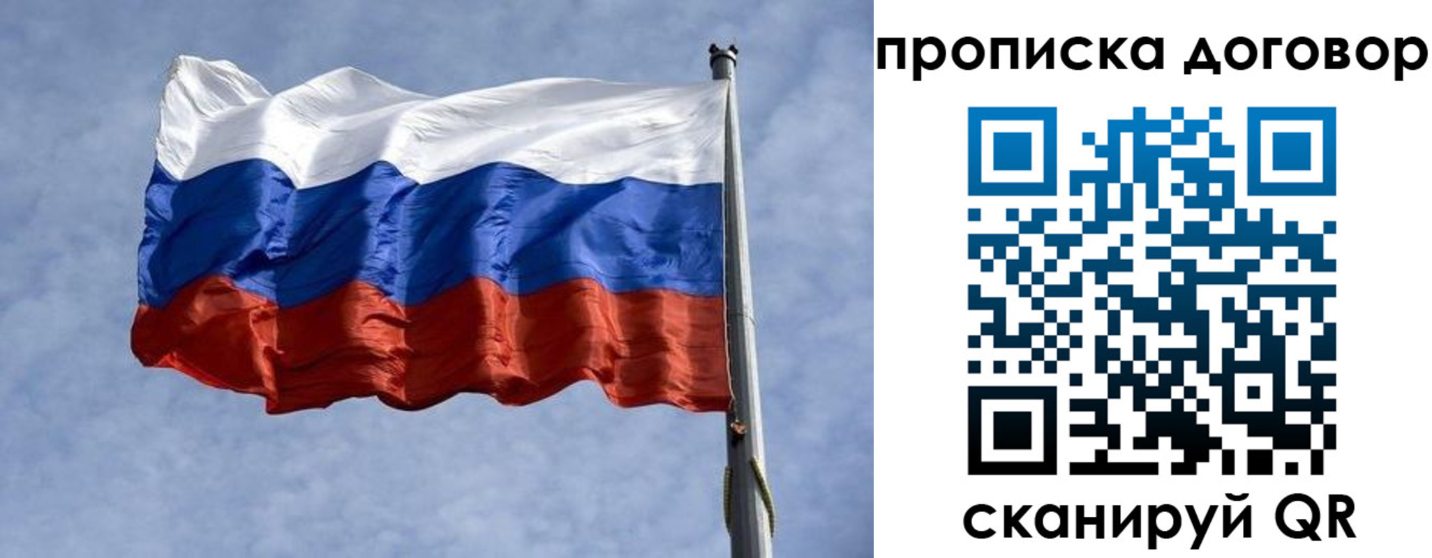 купить прописку в Мончегорске